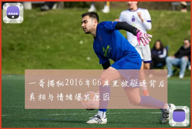 一哥揭秘2016年G6库里被驱逐背后真相与情绪爆发原因